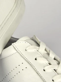 Discount Sneakers pelle Uomo Sneakers