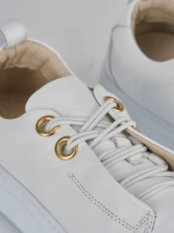 Hot Sneakers pelle Donna Sneakers