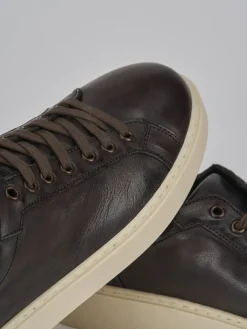 Sneakers pelle testa Uomo Sneakers