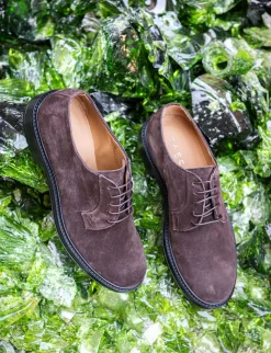 Clearance Stringate camoscio testa Uomo Stringate